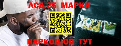прущие грибы Чебоксары
