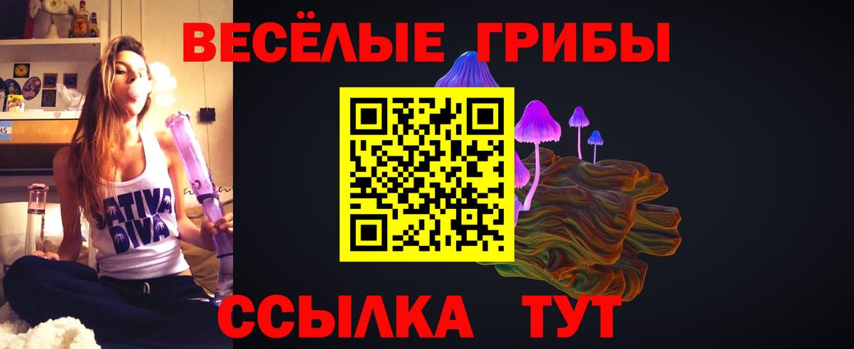 где можно купить наркотик  Вход с VPN  Бор  Псилоцибиновые грибы Psilocybine cubensis  Псилоцибиновые грибы ЛСД 